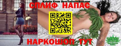 spice Гусь-Хрустальный