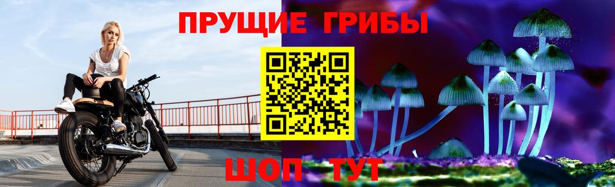 Галлюциногенные грибы ЛСД Тимашёвск
